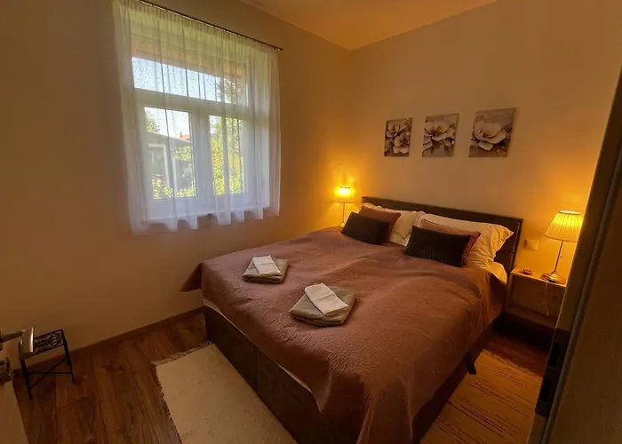 Vadvirag Vendeghaz *