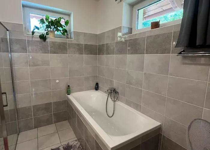 Vadvirag Vendeghaz Gárdony